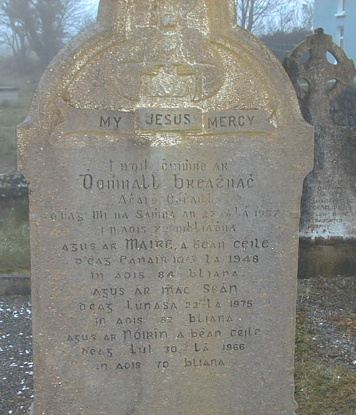 Gaelic tombstone Ahiohill.jpg 59.7K